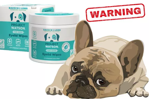 Dog Eyelid Wipes Recall &#8220;Risk of Exposure to Bacteria and Fungi&#8221;