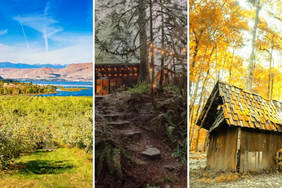Want to Be Self-Reliant? Here’s the Top 3 Best Counties to Live Off the Grid