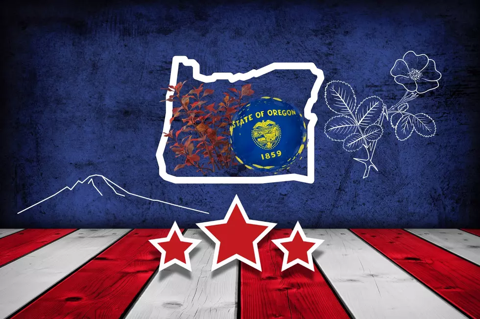 Why Has the Beaver State Been Named the 9th Worst State to Live in America?