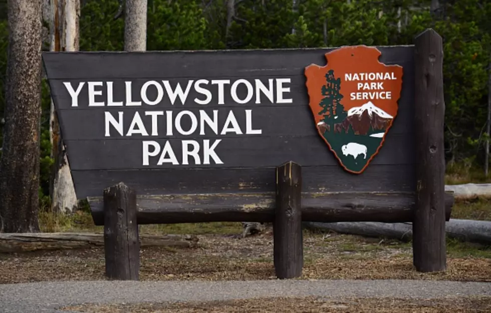 Apparently There is a &#8216;Zone of Death&#8217; in Yellowstone
