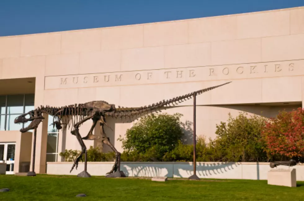 Museum of the Rockies is Hosting a Party for MSU Students