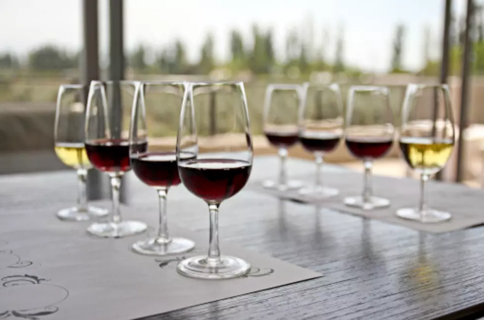 Wine Enthusiasts Unite for a Blind Wine Tasting