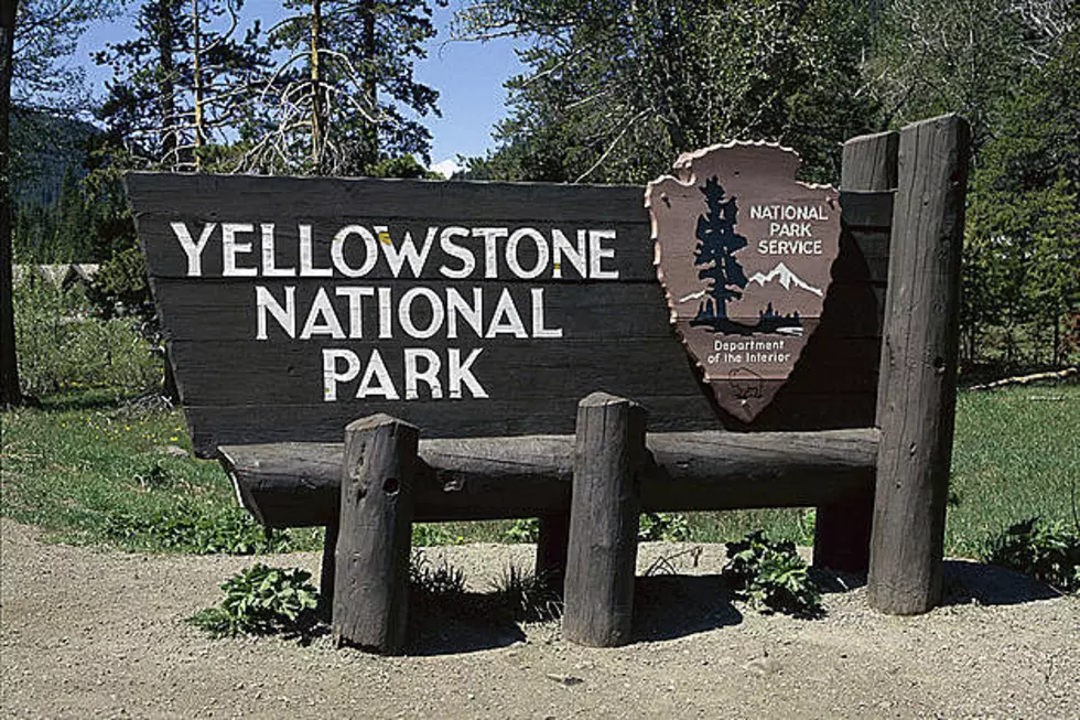 Yellowstone roads to close for season Monday