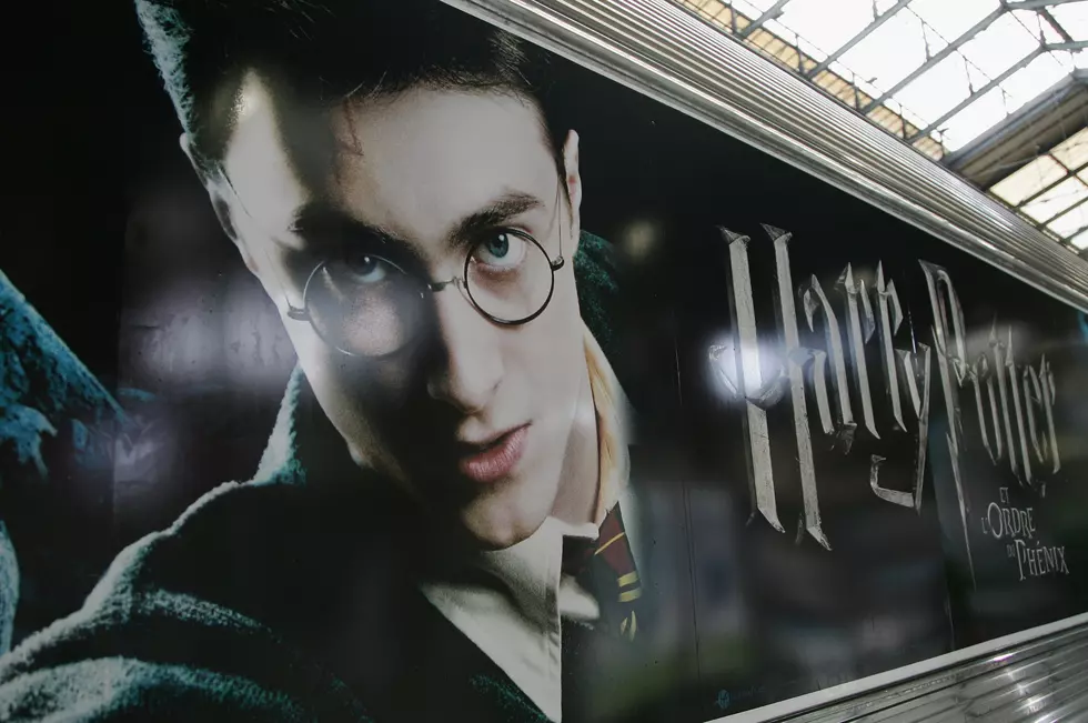 Get Paid To Binge Watch Harry Potter Series