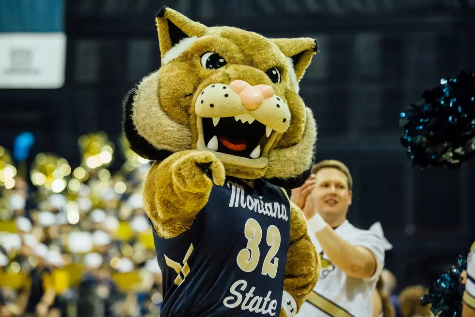 The Mascots for Cat-Griz Started a TikTok Rivalry