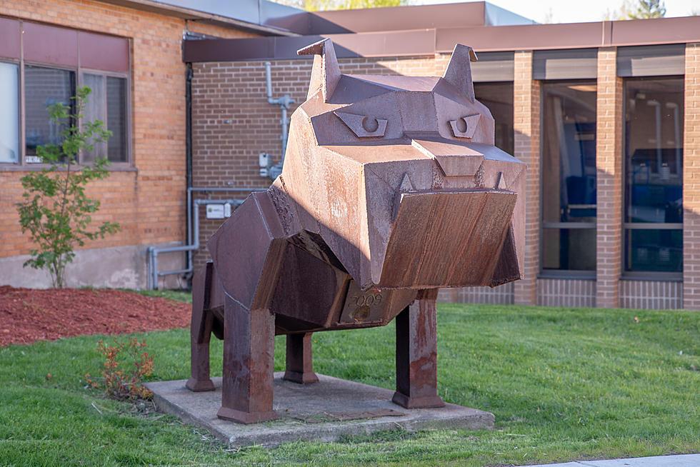 Montana High School Has One of the Best Mascots Nationwide