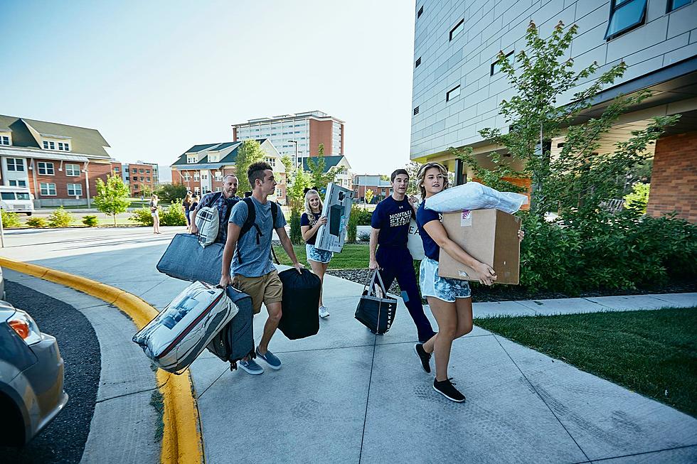7 Things New Students At Montana State Should Do