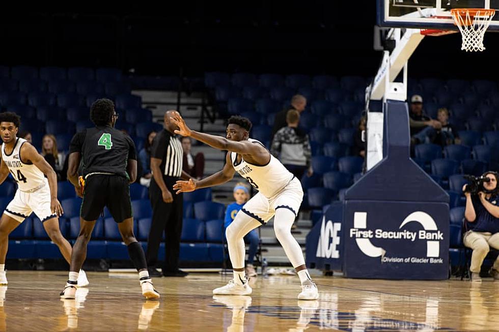 Bobcat Basketball Will Feature a Full Beer Garden