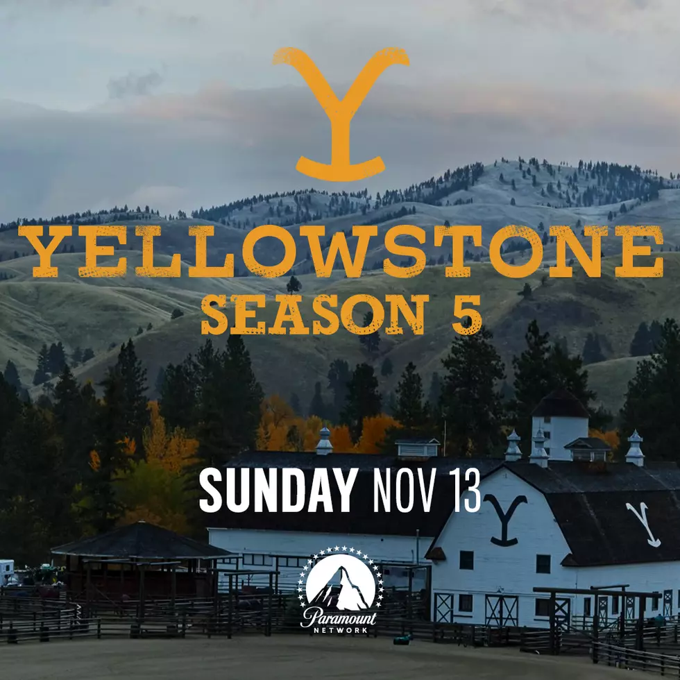 How Many New Prequel Series Can Yellowstone Actually Produce?