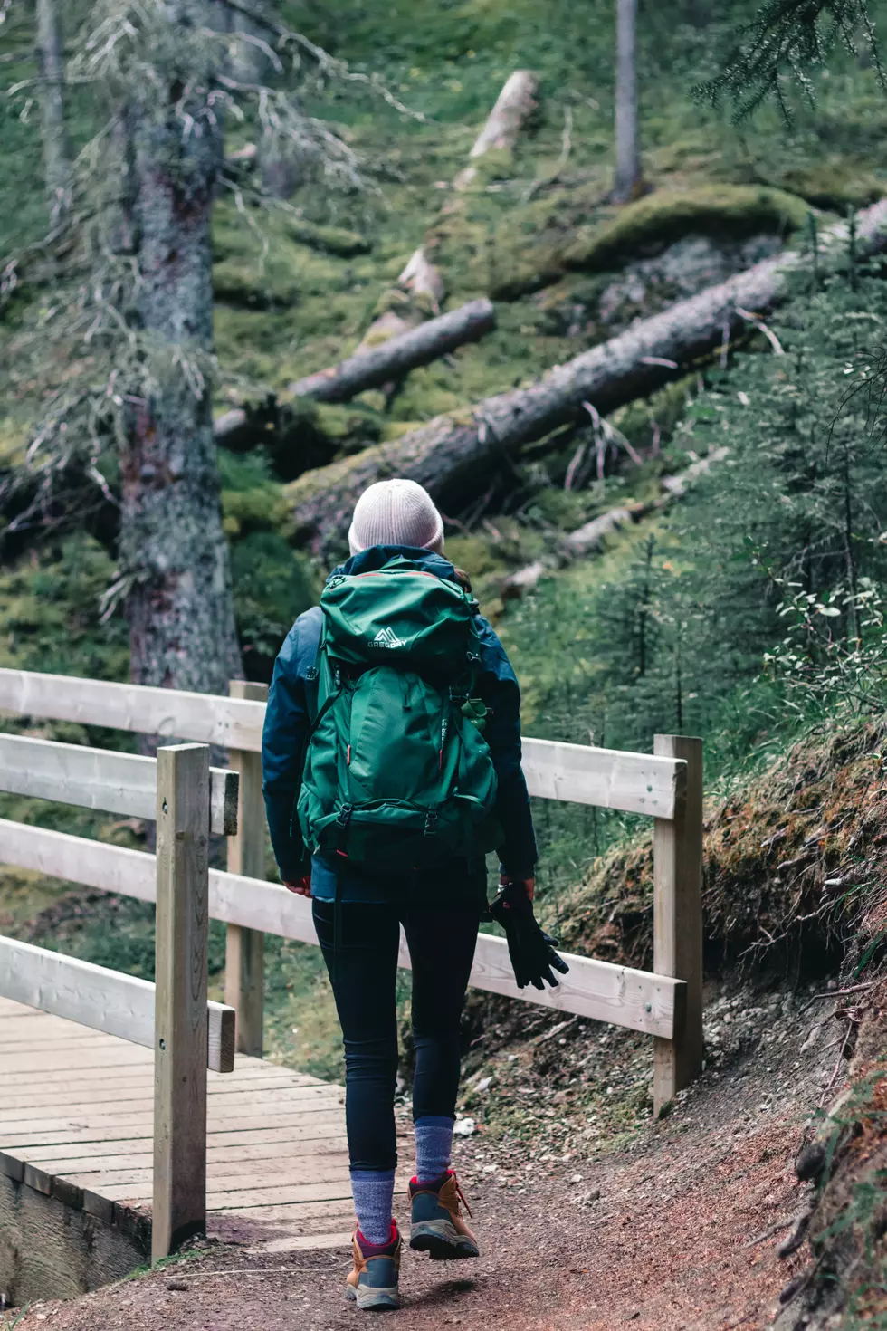 Photo by Ali Kazal via Unsplash