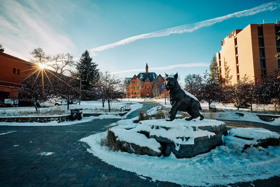 Montana State University via Facebook