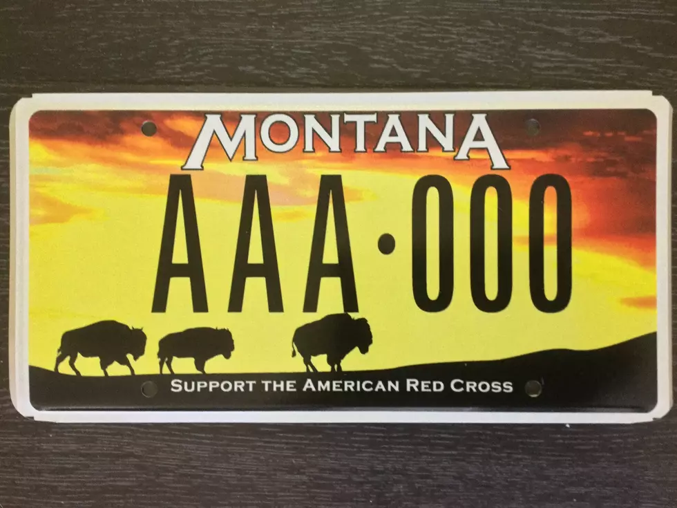 20 License Plates Banned in Montana You Will Love