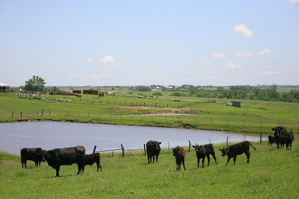 Out Of The 13 &#8216;Belt&#8217; Regions in America, Montana Is In One