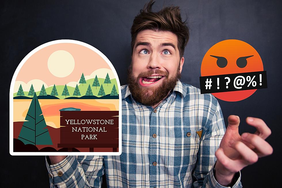 Tourist Makes Dumb Decision In Yellowstone National Park