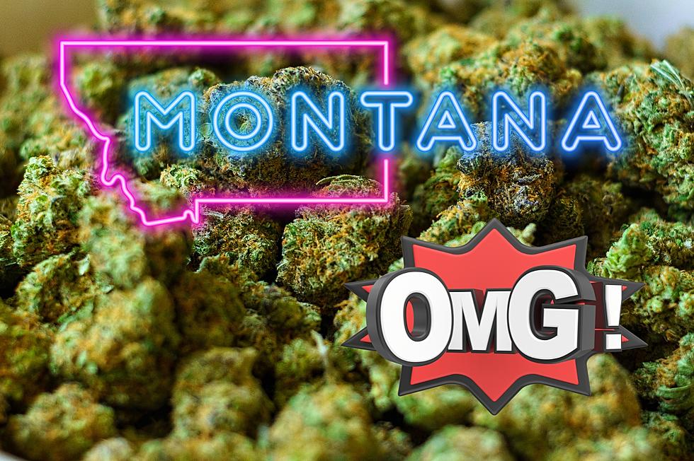 If Marijuana Is Reclassified, Montana Could See Big Changes