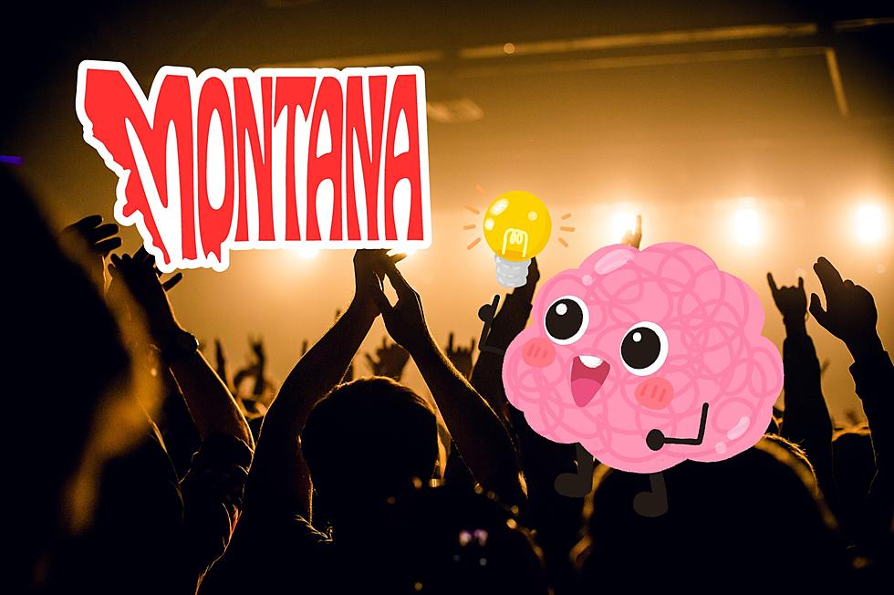  Would This Be A Popular Concert Idea in Montana?