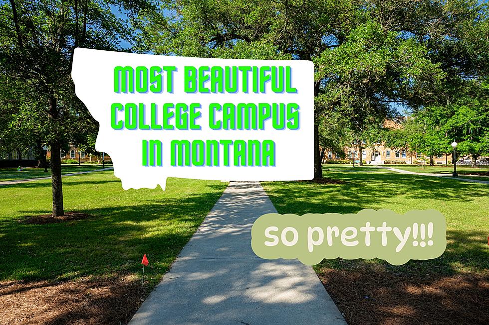 The Most Beautiful College Campus in Montana Will Surprise You