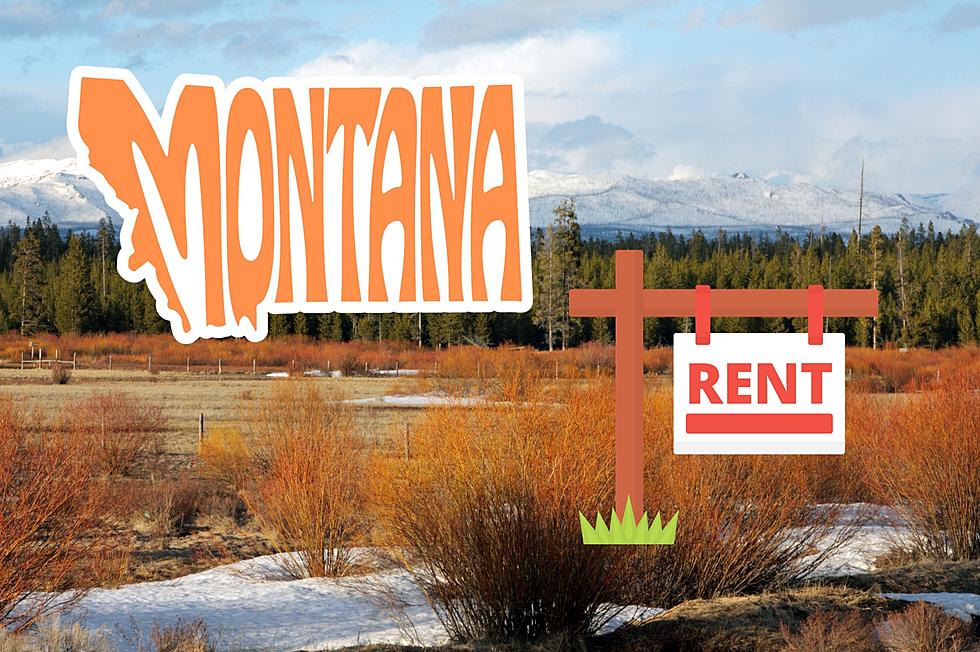 Would You Rent This Beautiful Montana Ranch? It’s Expensive