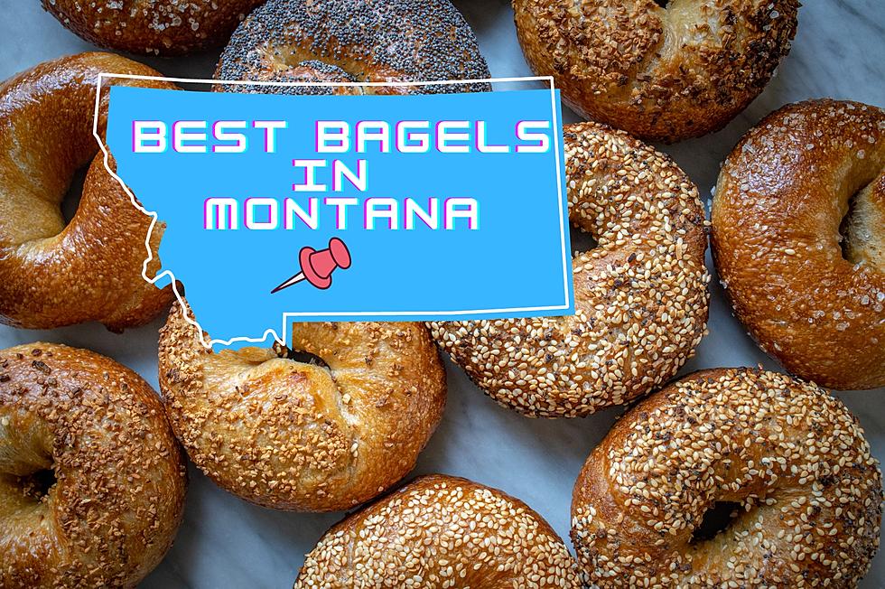 Looking For The Best High Quality Bagels in Montana? Go Here!