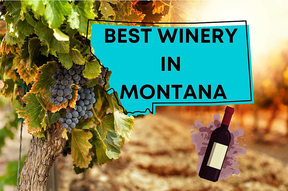Does Montana Have Wineries And Which One Is The Best?