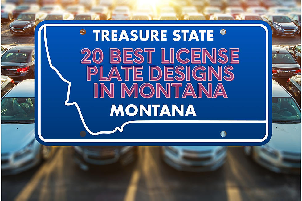 20 Montana License Plate Designs You Will Love