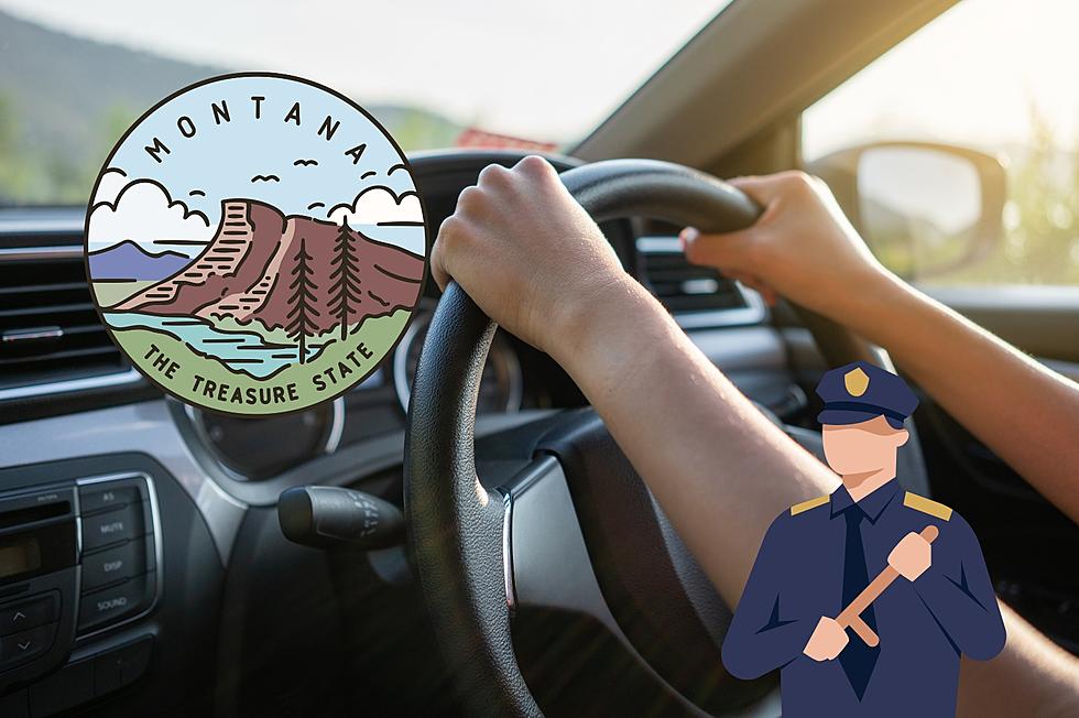 Is This Illegal While Driving in Montana? No Way