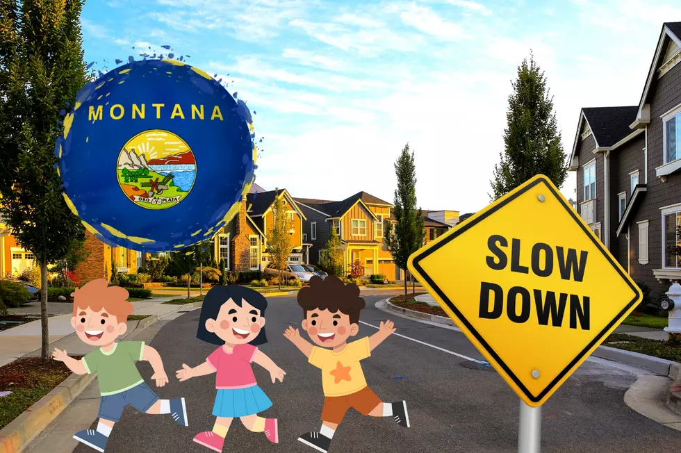Want To Make Montana Children Safer? This Is An Idea