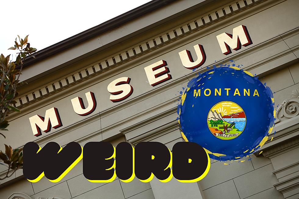 The Weirdest Museum in Montana Is Incredibly Interesting