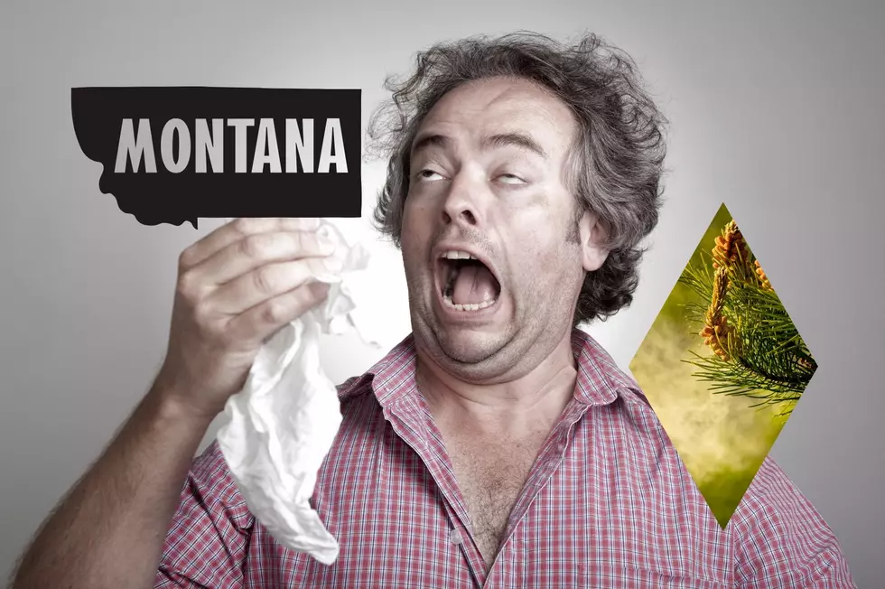 Is Montana One Of Allergy Capitals in America?