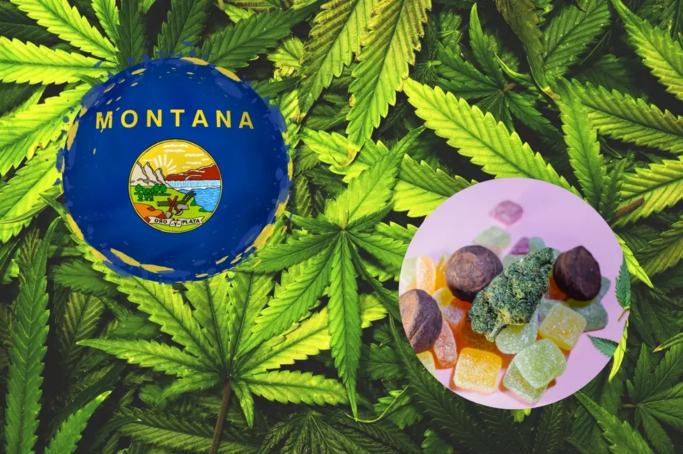 Want To Try Edibles? 5 Montana Companies To Check Out