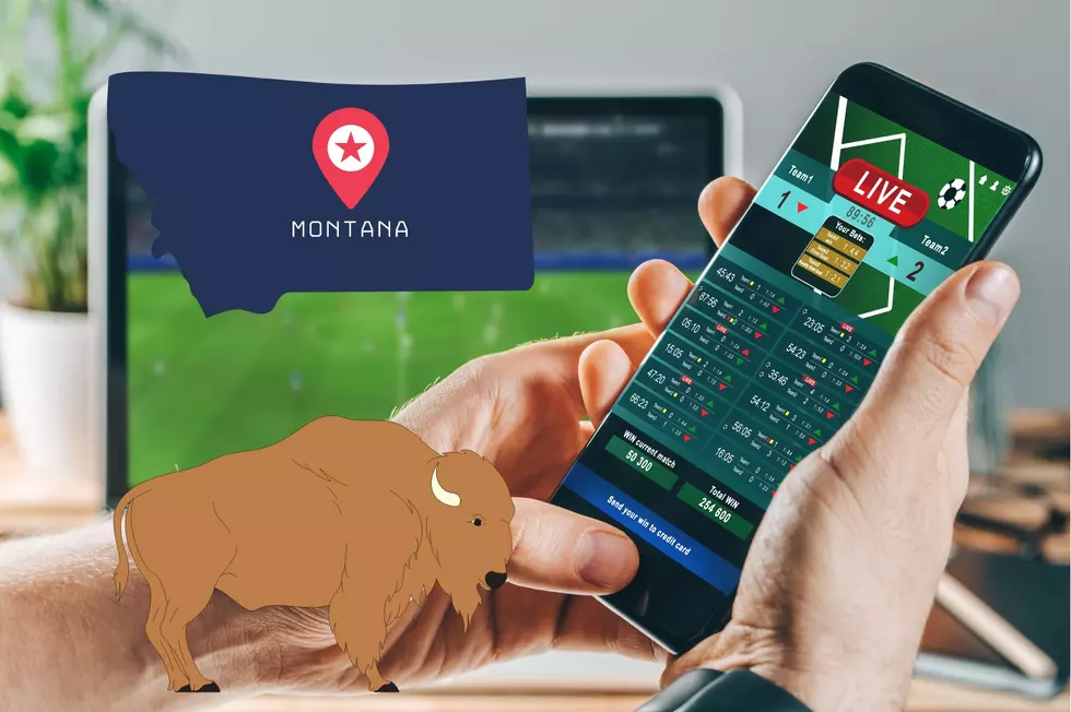 Wrong Or Right? Montanans Could Hit Jackpot Betting This