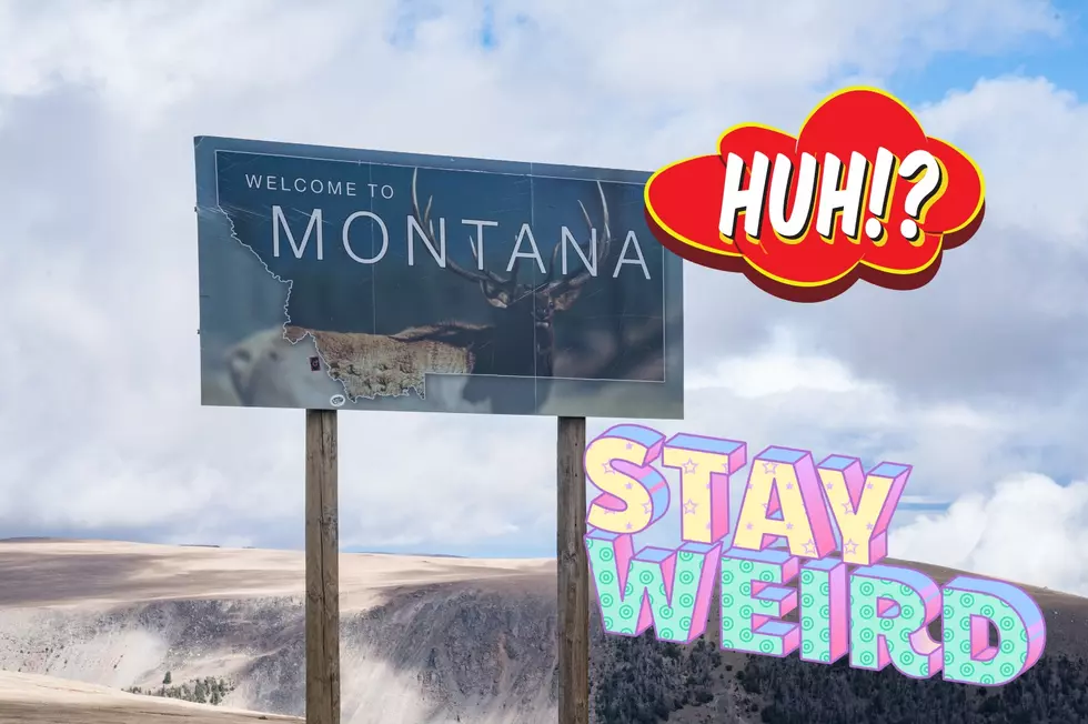 Want To Get Weird in Montana? This Attraction Is Perfect