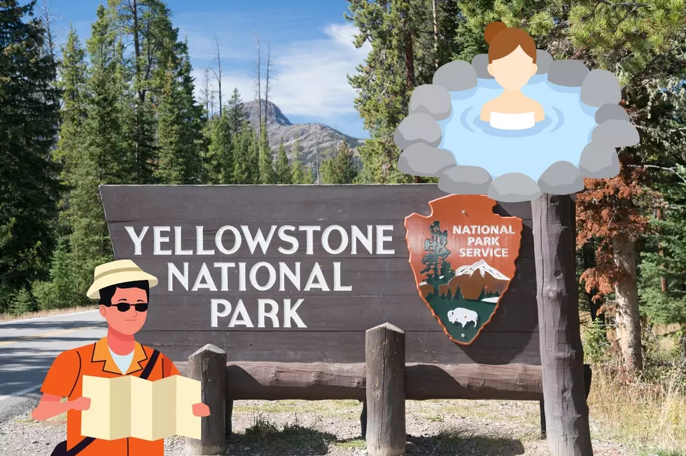 This Amazing Attraction Needs To Come Back To Yellowstone