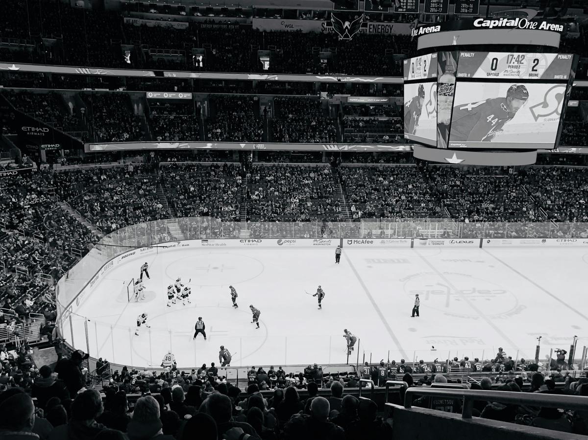 Montana Has A Chance To Add An Exciting Hockey Team