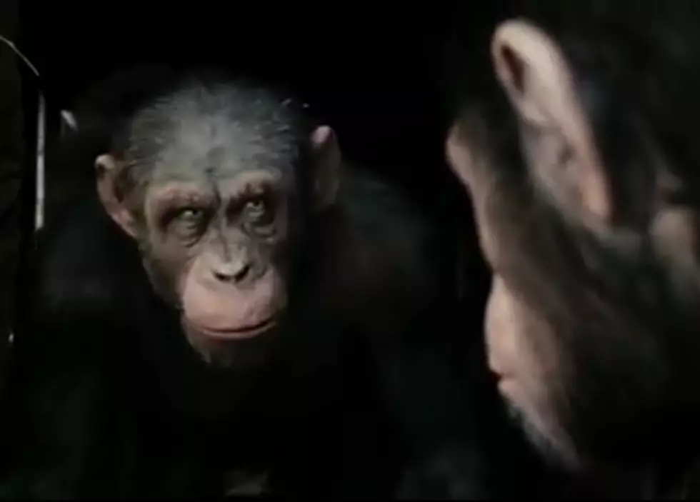 New Rise Of The Apes Footage Looks Amazing [VIDEO]