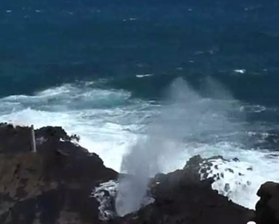 Tourists Saw Man Sucked Down Maui Blowhole [VIDEO]