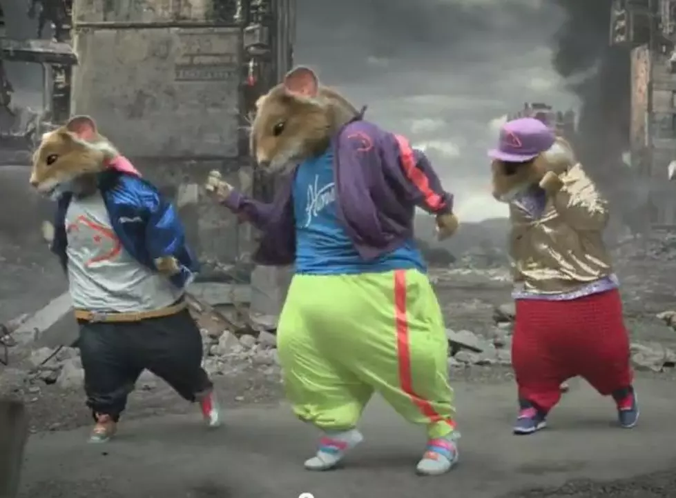 Kia Soul Hamsters Break it Down in New Commerical [VIDEO]