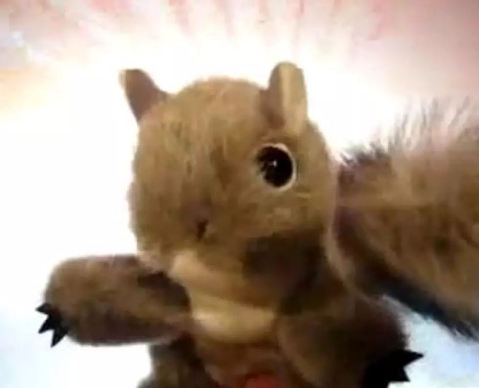 A Saviour In The Fight Against Evil Squirrels  [AUDIO]