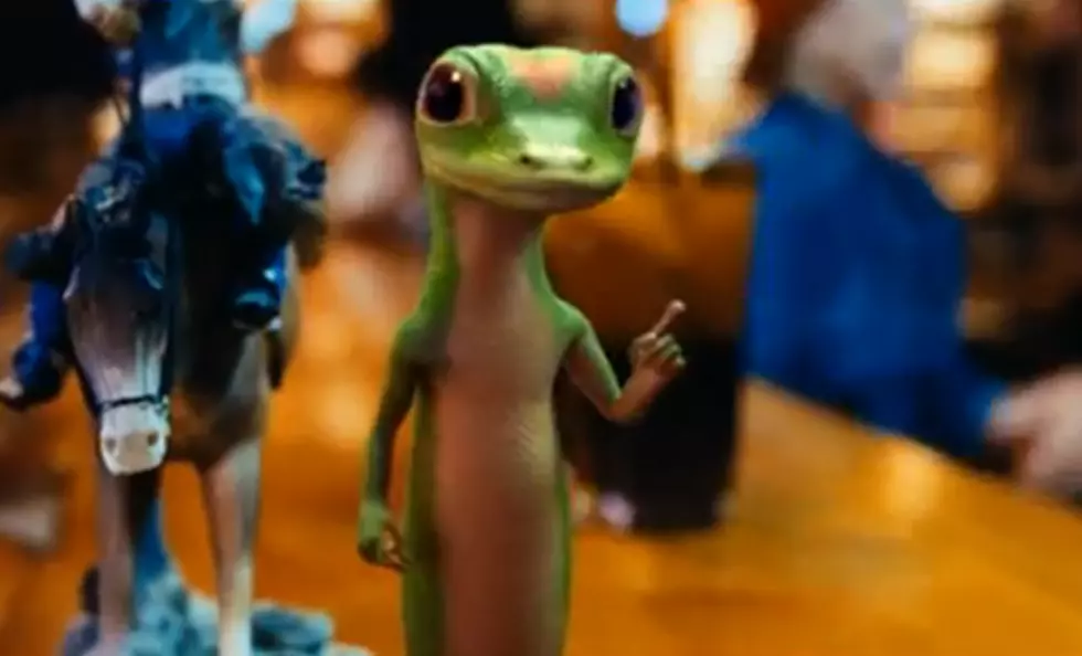 The Geico Gecko Makes Fun of &#8220;Big Texas Hair&#8221; &#8211; Hilarious [VIDEO]