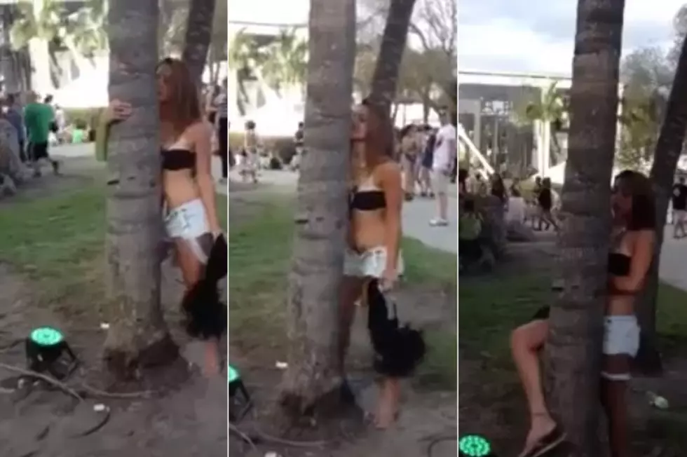 Watch this Girl Kiss, Hump and Slap a Tree