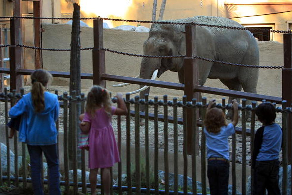 Abilene Zoo Celebrates Dyess Air Force Base