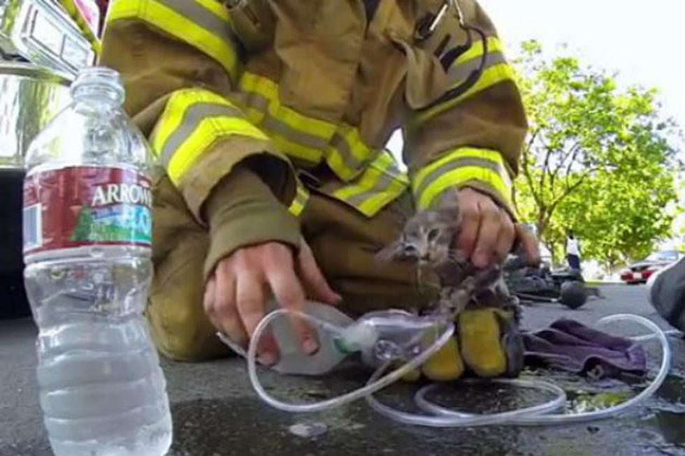 GoPro Camera on Fireman’s Helmet Captures Hero Reviving Kitten