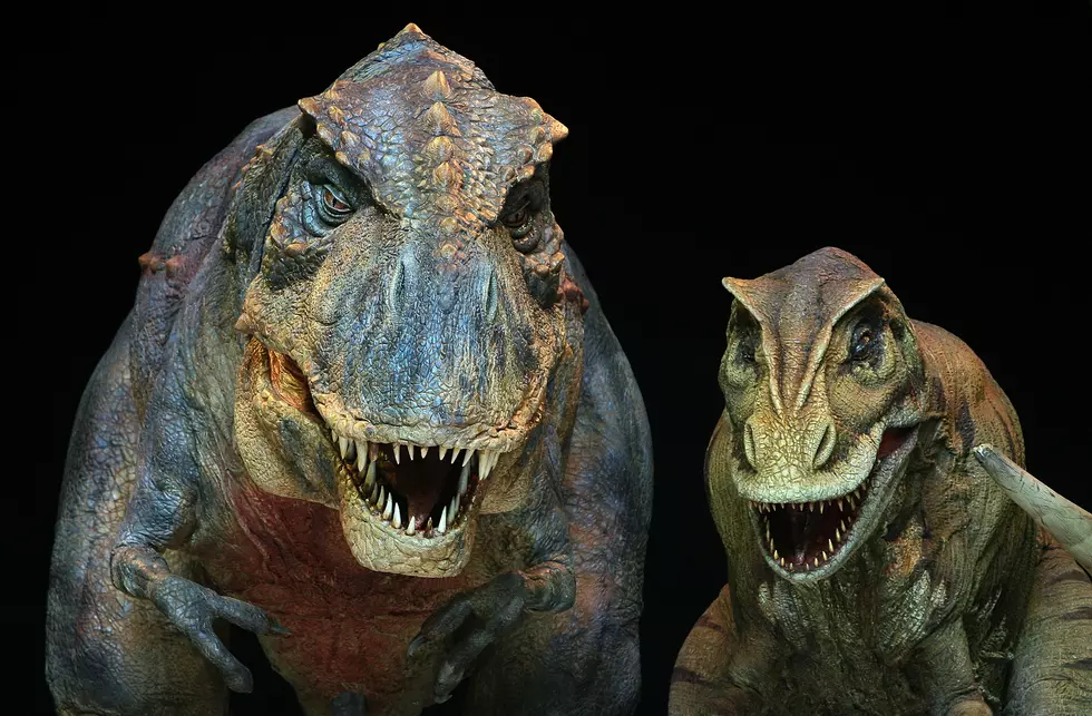 Jurassic Park Raptors Are Replaced by Cats to Make Hilarious Movie Scene