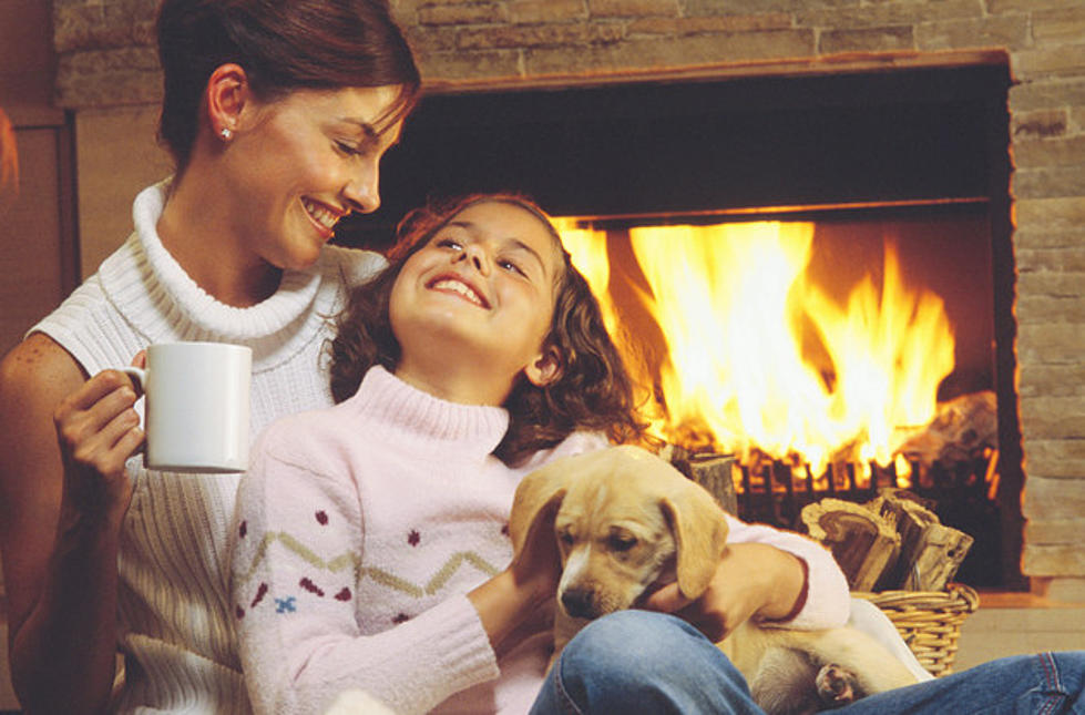 Winter Tips To Keep Your Pets Warm