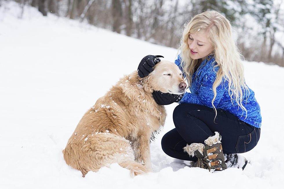 10 Tips to Help Keep Your Pets Warm in West Texas This Winter