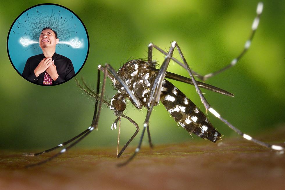 5 Tips to Keep Texas Mosquitoes Out of Your Yard