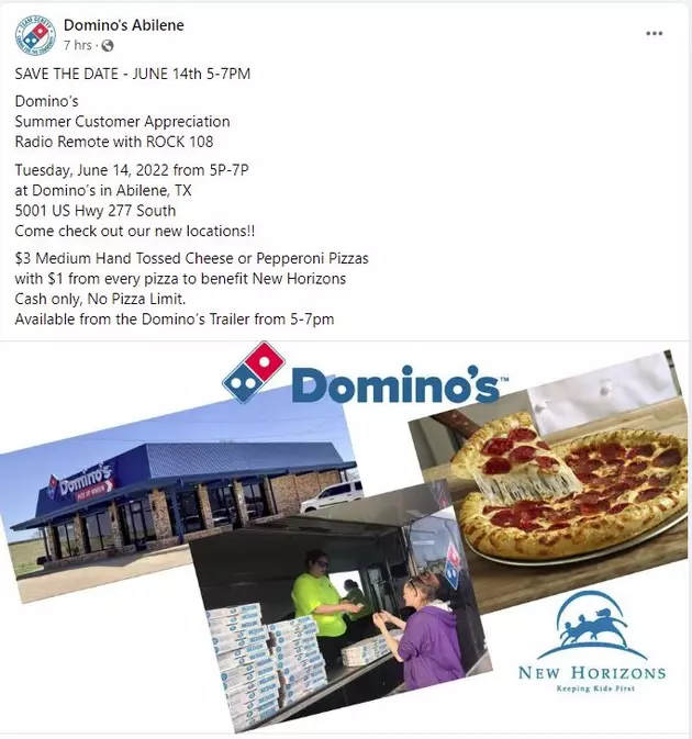 Domino's Pizza $3 Medium Pizza Fundraiser for New Horizons