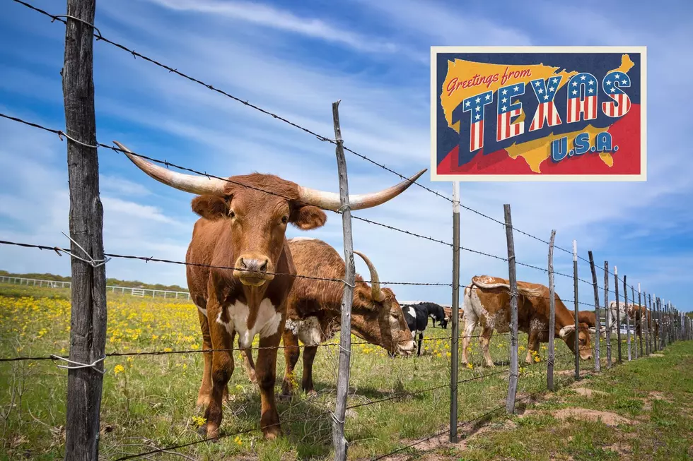 Unraveling The Charm: Exploring The Colorful Language Of Texas Locals
