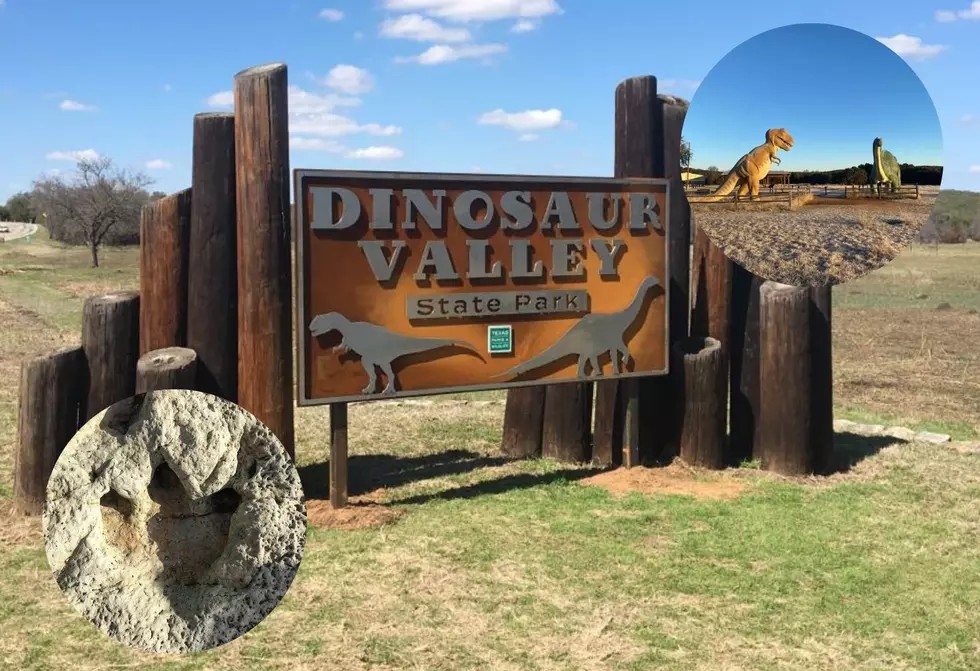 Dinosaur Valley State Park Facebook/Canva