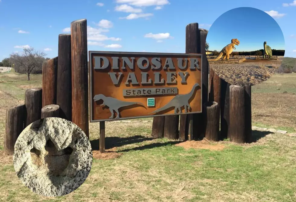 Explore Real Dinosaur Tracks At Dinosaur Valley State Park In Texas